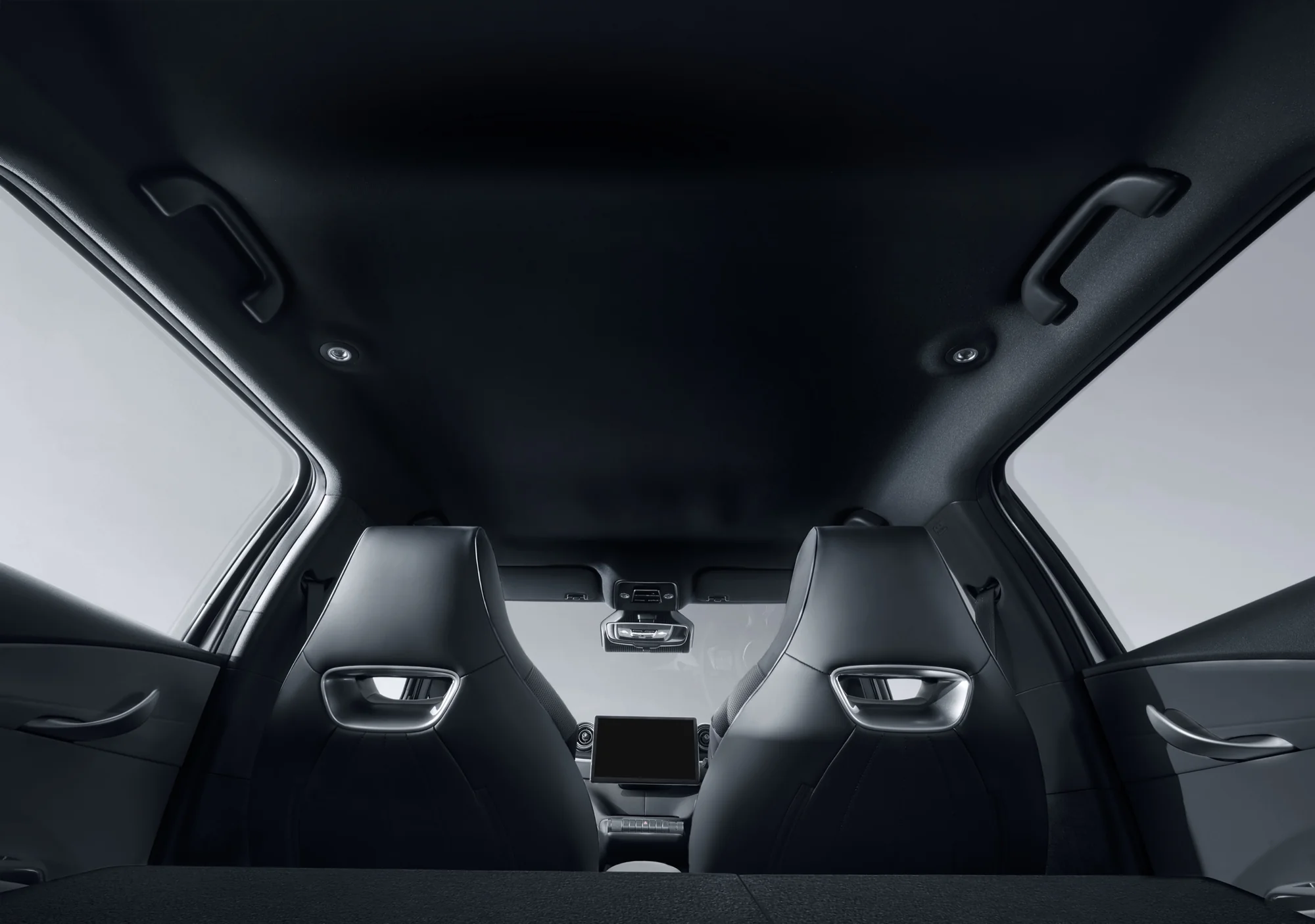 BYD Dolphin – trần xe