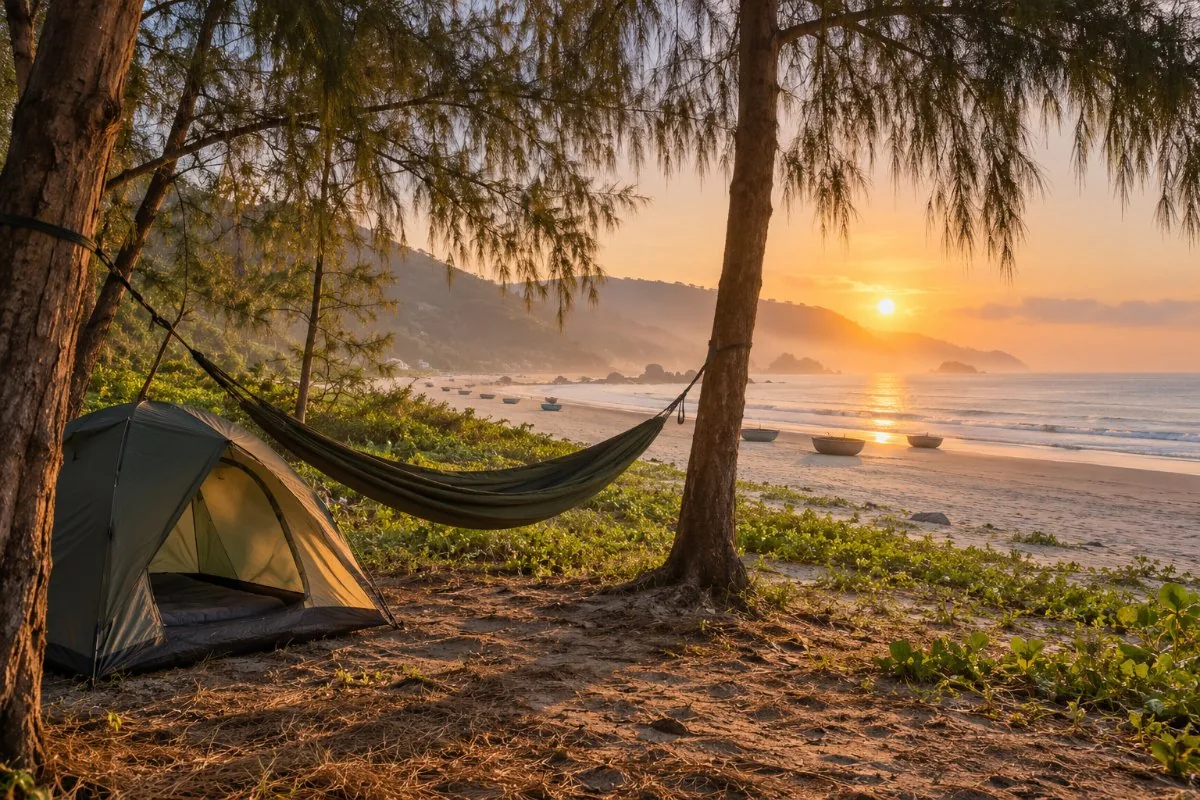 Small tent and hammock under casuarina trees at the edge of a beach at sunrise