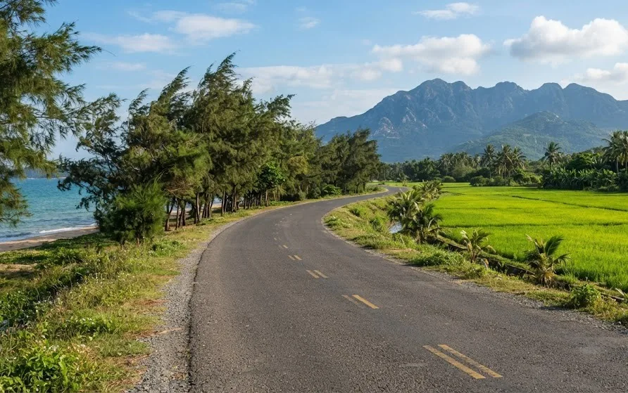 Two-lane coastal road curving between casuarina pines and bright green rice paddies below mountains