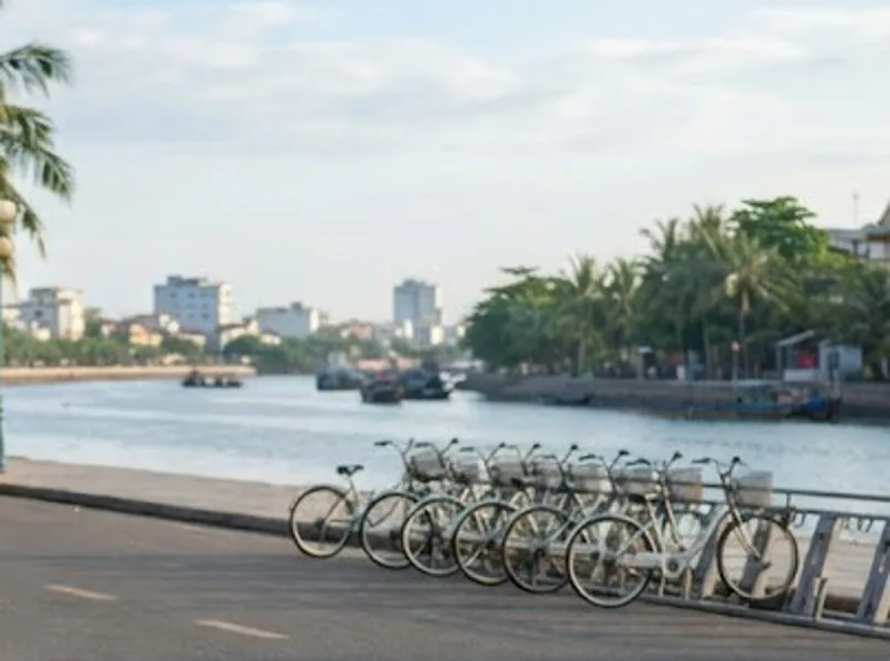 Row of bike-share bicycles docked along a riverside road