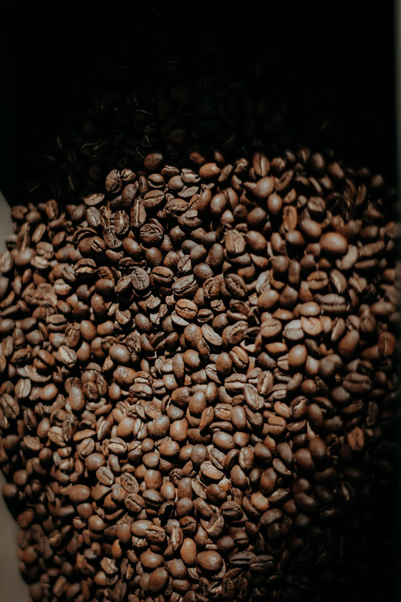 Close-up of dark roasted coffee beans
