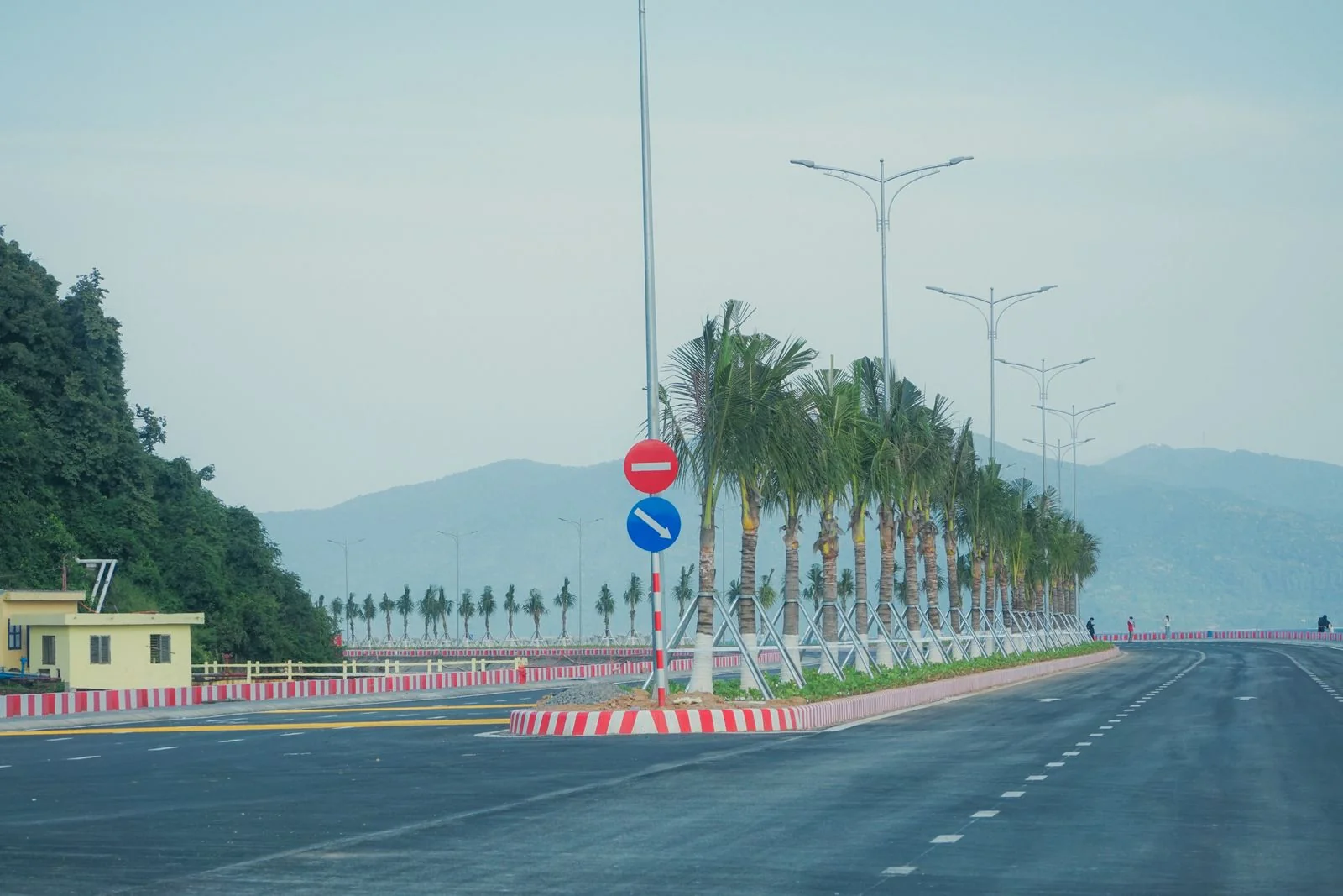 Palm-lined coastal road in Da Nang