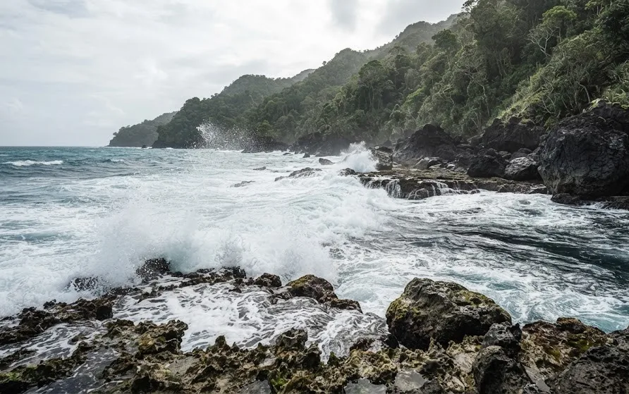 Waves breaking hard over dark boulders and sharp reef rock on a wild jungle-backed coast