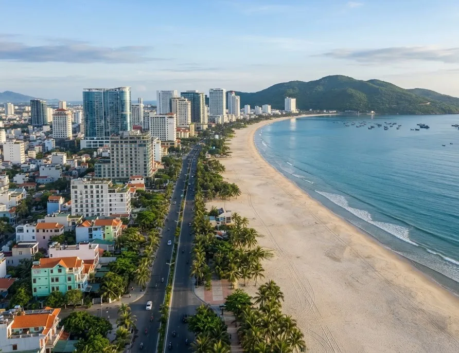 Aerial view of a palm-lined beach road with hotels of every size along the shore