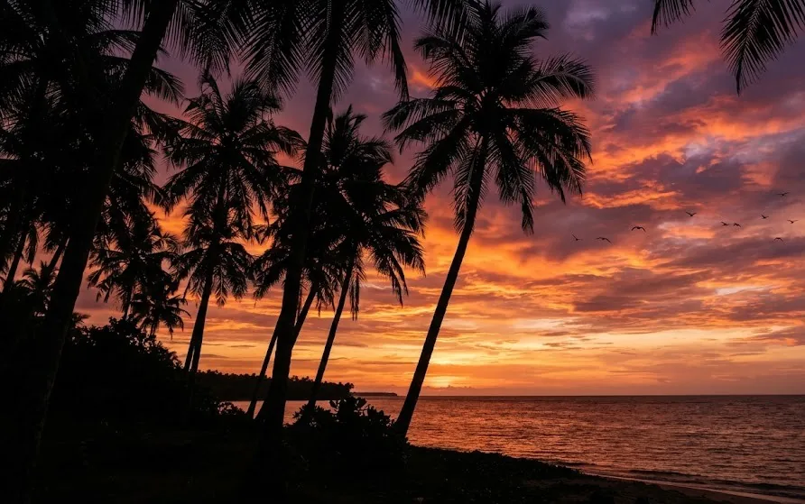 Silhouetted coconut palms against a vivid orange and purple dusk sky above a calm sea