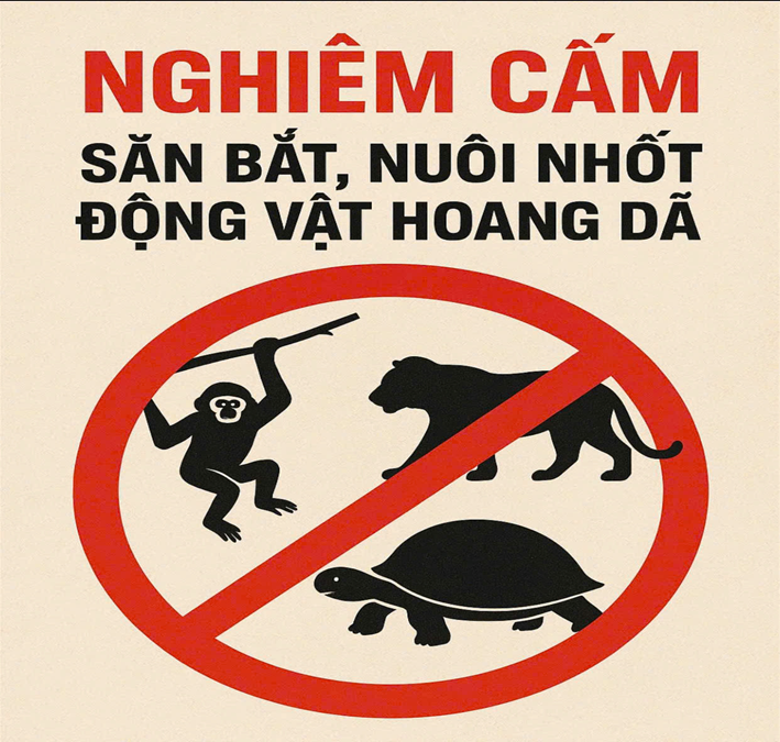 Tăng cường công tác phòng ngừa, đấu tranh, ngăn chặn, xử lý nghiêm các vi phạm về mua bán, vận chuyển, tàng trữ động vật hoang dã, chim hoang dã
